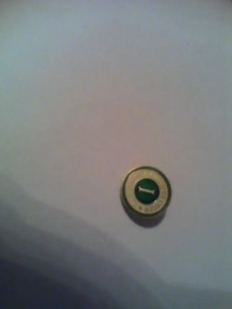 значок коллегия судей.