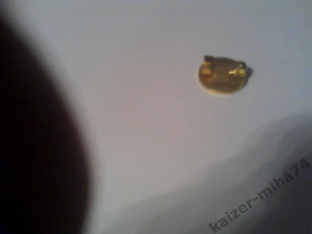 ф.к шальке04 германия. 1