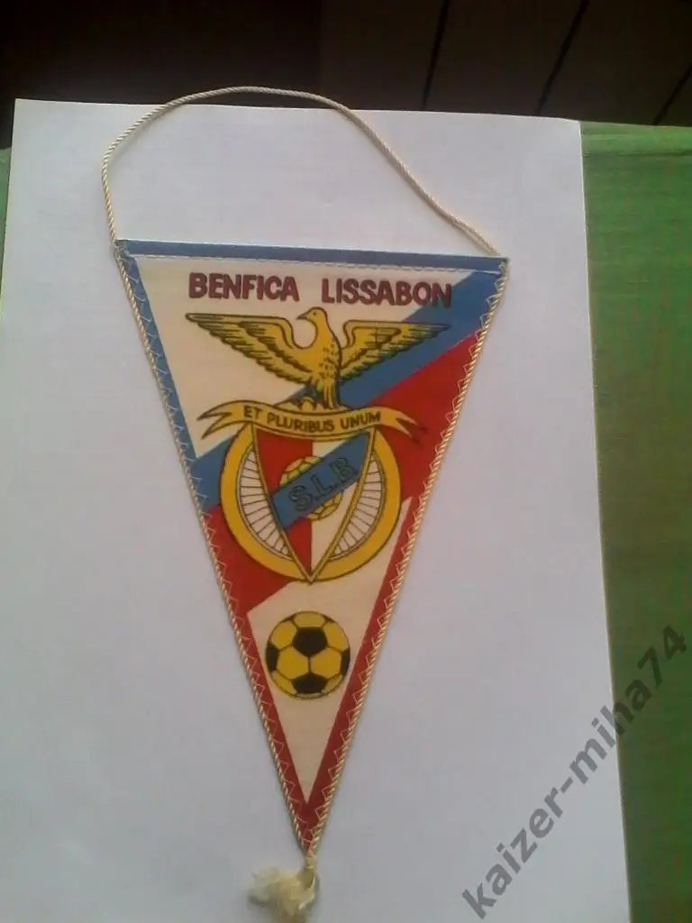 ф.к бенфика/лиссабон/португалия.