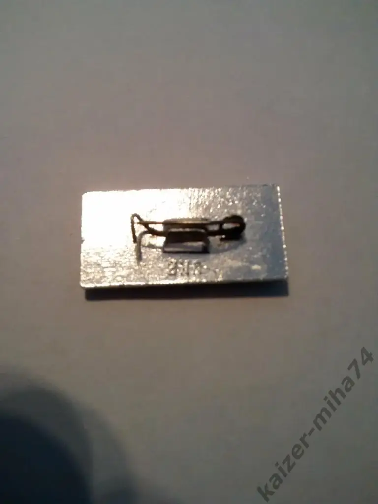 на приз.им.знаменских... 1