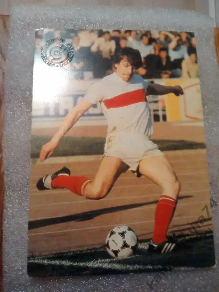 Владимир сочнов.