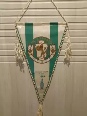 Ф.К. Карпаты/Львов.кубок СССР 1969год...