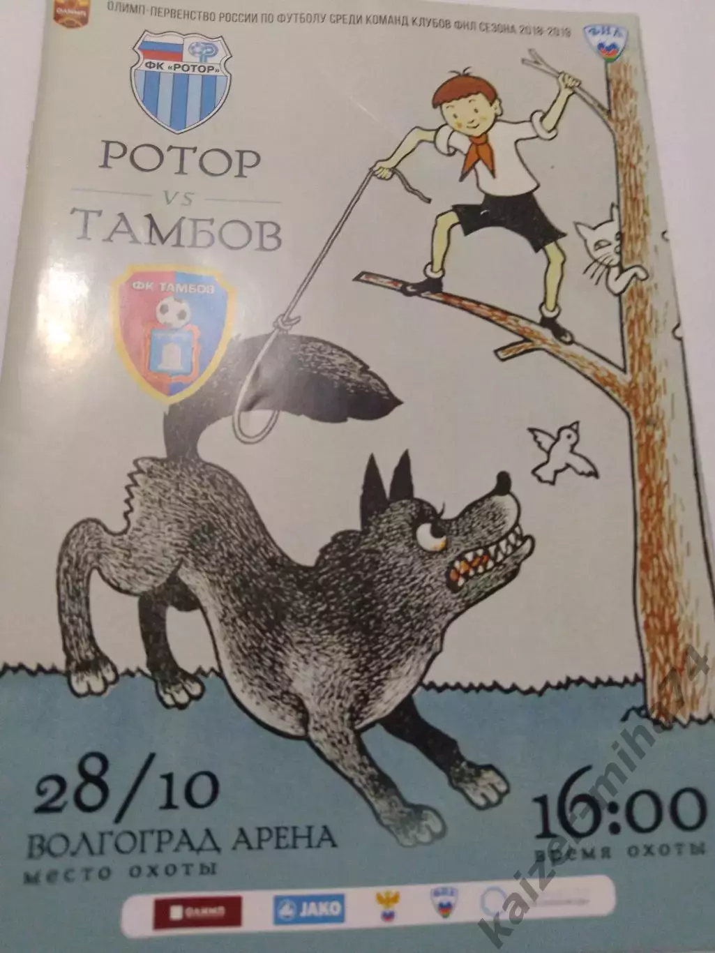 Ротор/Тамбов. ФНЛ.2018/19г.