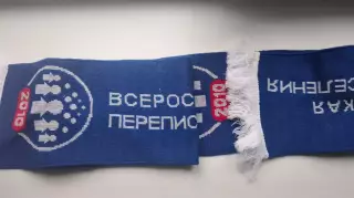 Шарф- перепись населения 2010