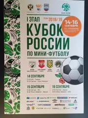Мини-футбол. Нижний Новгород. Кубок России-2018: Липецк, Белгород, Оргхим