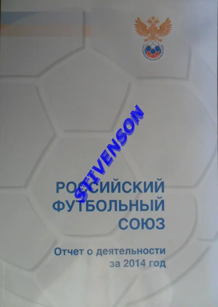 Российский футбольный союз. Отчет о деятельности за 2014 год