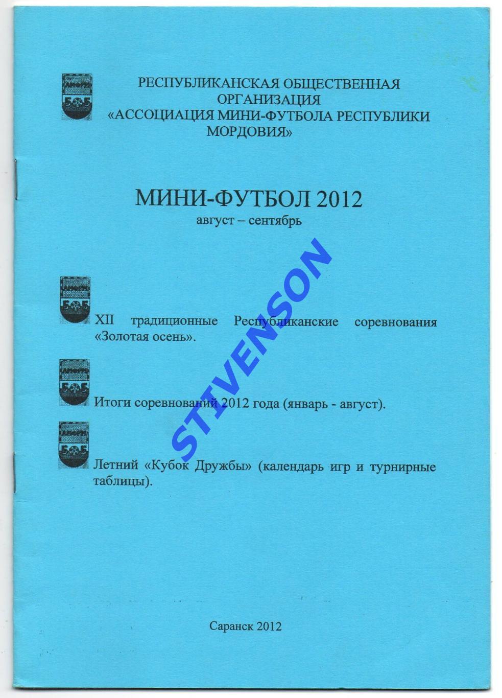 Мини-футбол. Саранск 2012 год. Республиканские турниры