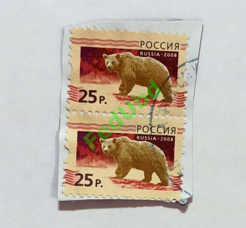 Марки. Фауна Медведь Россия 2008г.