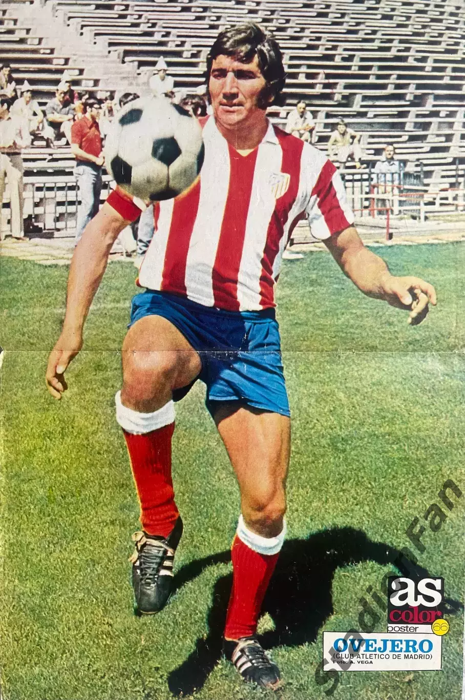 Poster nr 66 из журнала AS COLOR - Ovejero