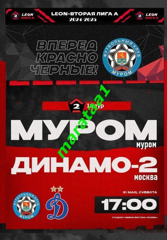 ФК Муром (Муром) - Динамо-2 (Москва) - 31 мая 2024/25 АЛЬТЕРНАТИВА