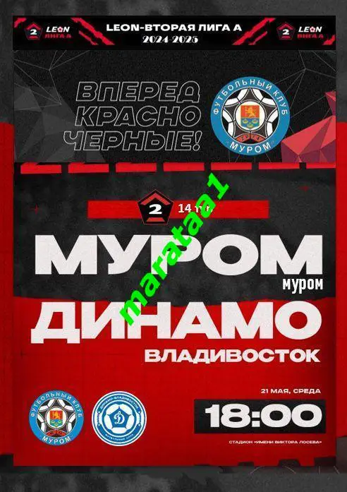 ФК Муром (Муром) - Динамо (Владивосток) - 21 мая 2024/25 АЛЬТЕРНАТИВА