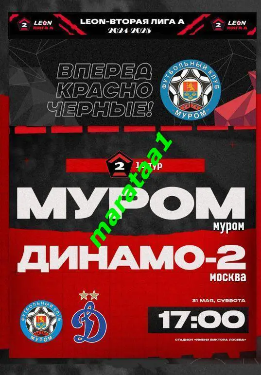 ФК Муром (Муром) - Динамо-2 (Москва) - 31 мая 2024/25 АЛЬТЕРНАТИВА
