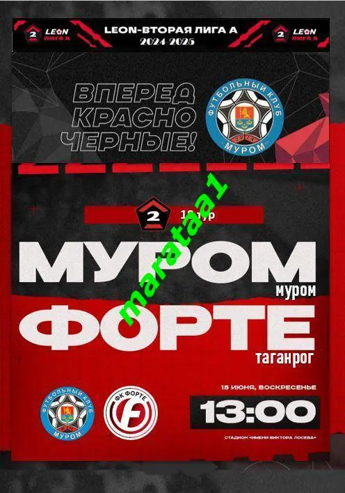 ФК Муром (Муром) - Форте (Таганрог) - 15 июня 2024/25 АЛЬТЕРНАТИВА