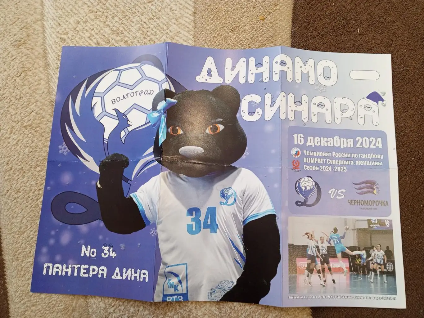 Программка к гандбольному матчу Динамо(Волгоград)-Черномо(Новороссий) 2024