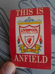 Футбол _ буклет Liverpool 1995 Англия ( общекомандное фото)