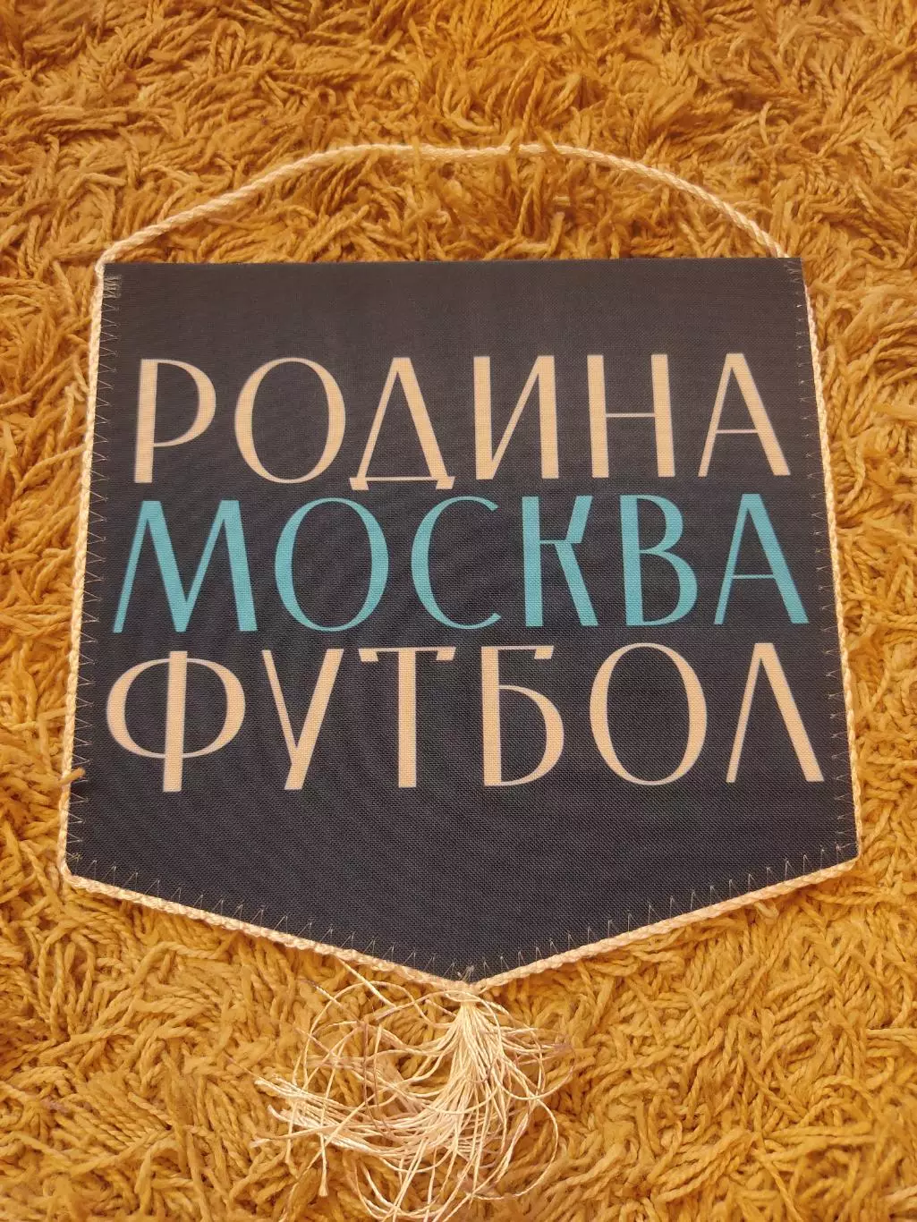 Вымпел Родина