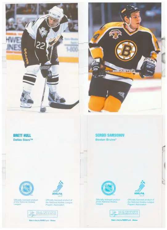 Panini -NHL -1998/1999