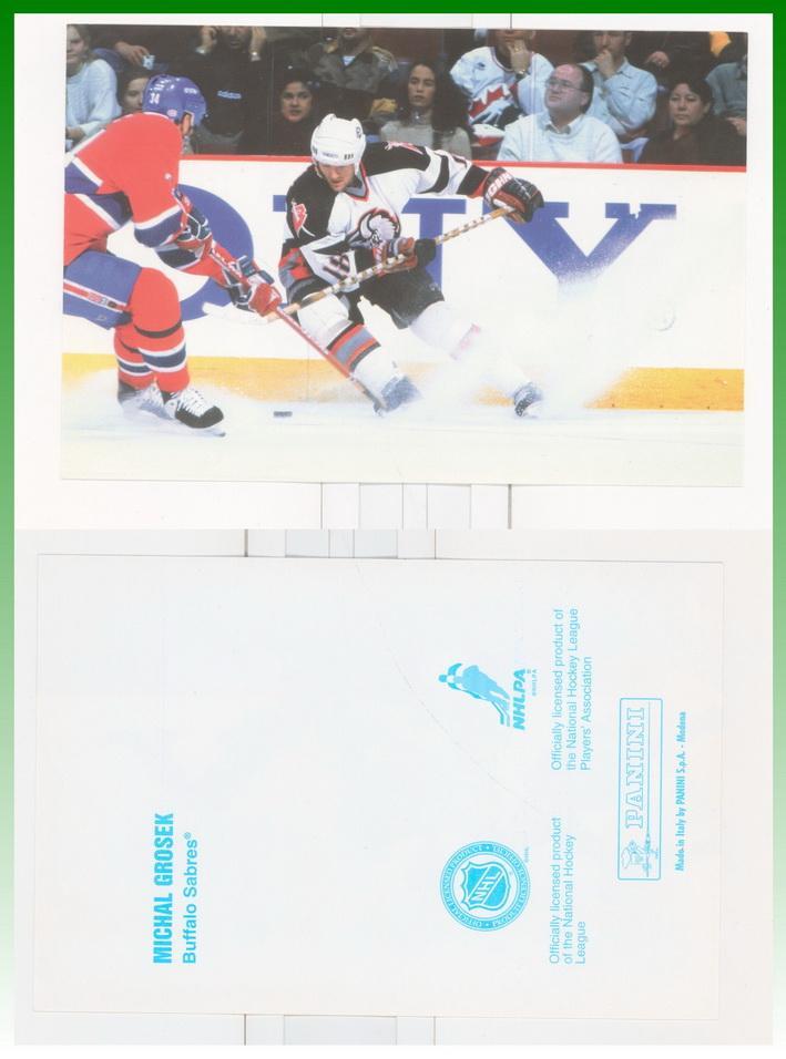Panini -NHL -1998/1999_43