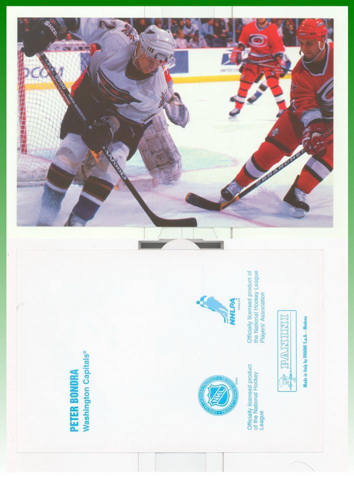 Panini -NHL -1998/1999_46