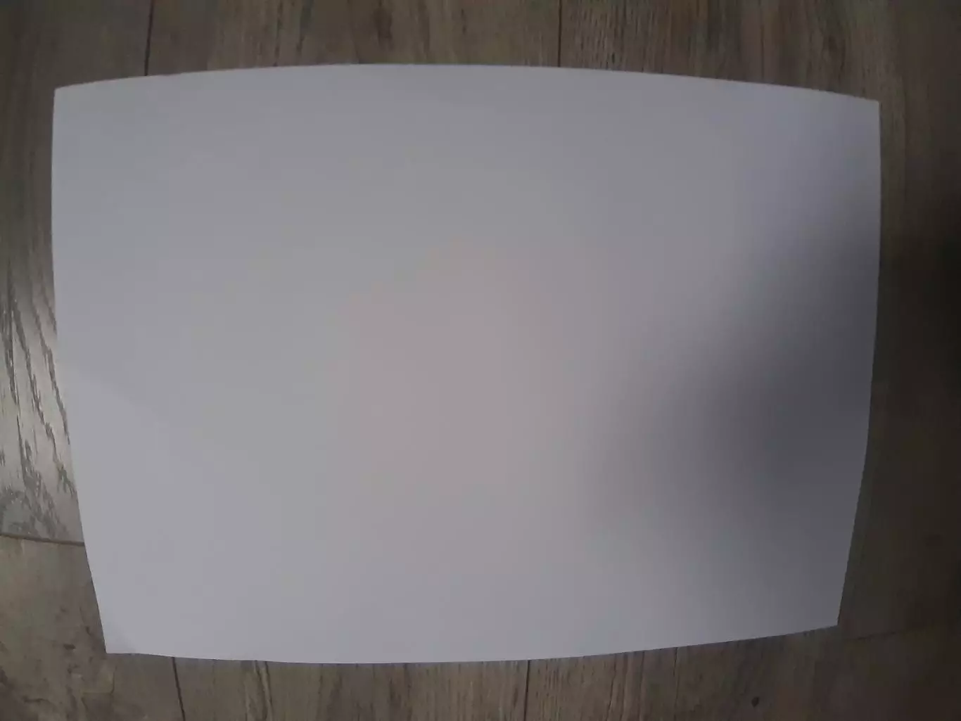 MACCABI TEL-AVIV.2024 1