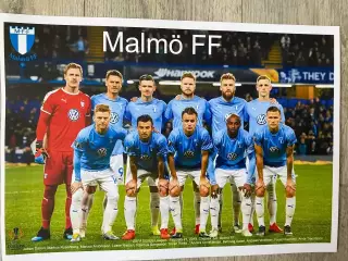MALMO.2019