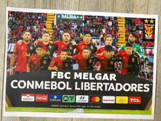 MELGAR. 2025 (Peru)