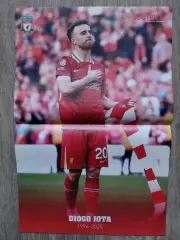 Diogo Jota, El Hadji Diouf