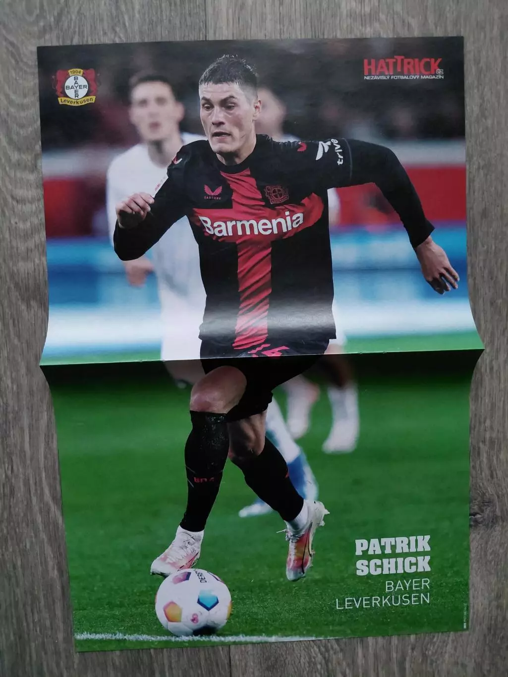 Patrik Schick, Matej Vidra