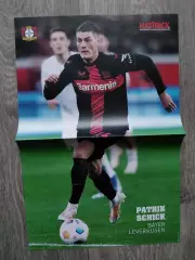 Patrik Schick, Matej Vidra