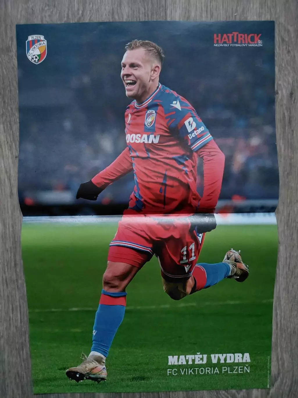 Michal Hlavaty, Matej Vidra 1