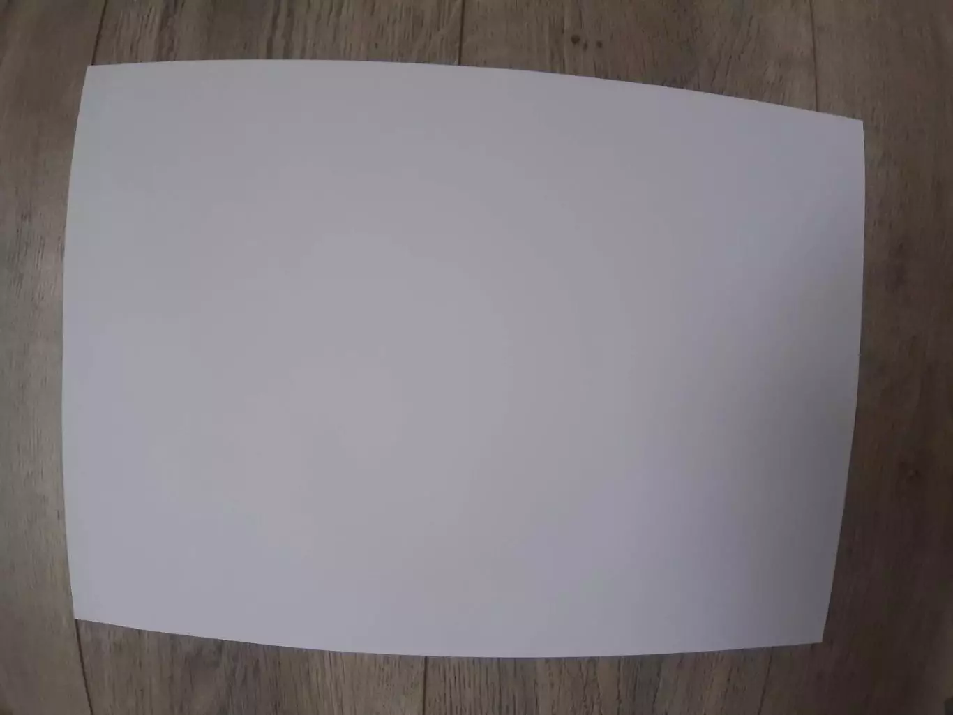 LEGIA WARSZAWA.2025 1