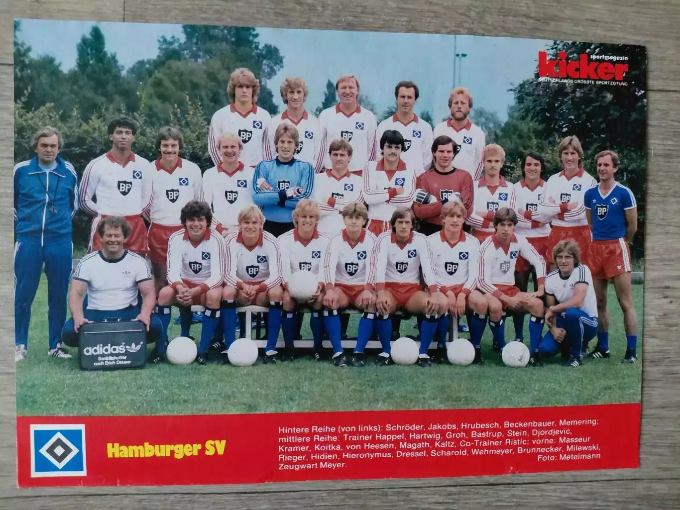 HAMBURGER SV 1981/82
