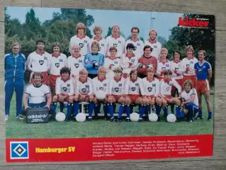HAMBURGER SV 1981/82