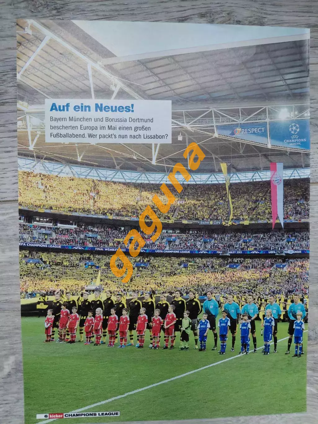 Borussia Dortmund.2013