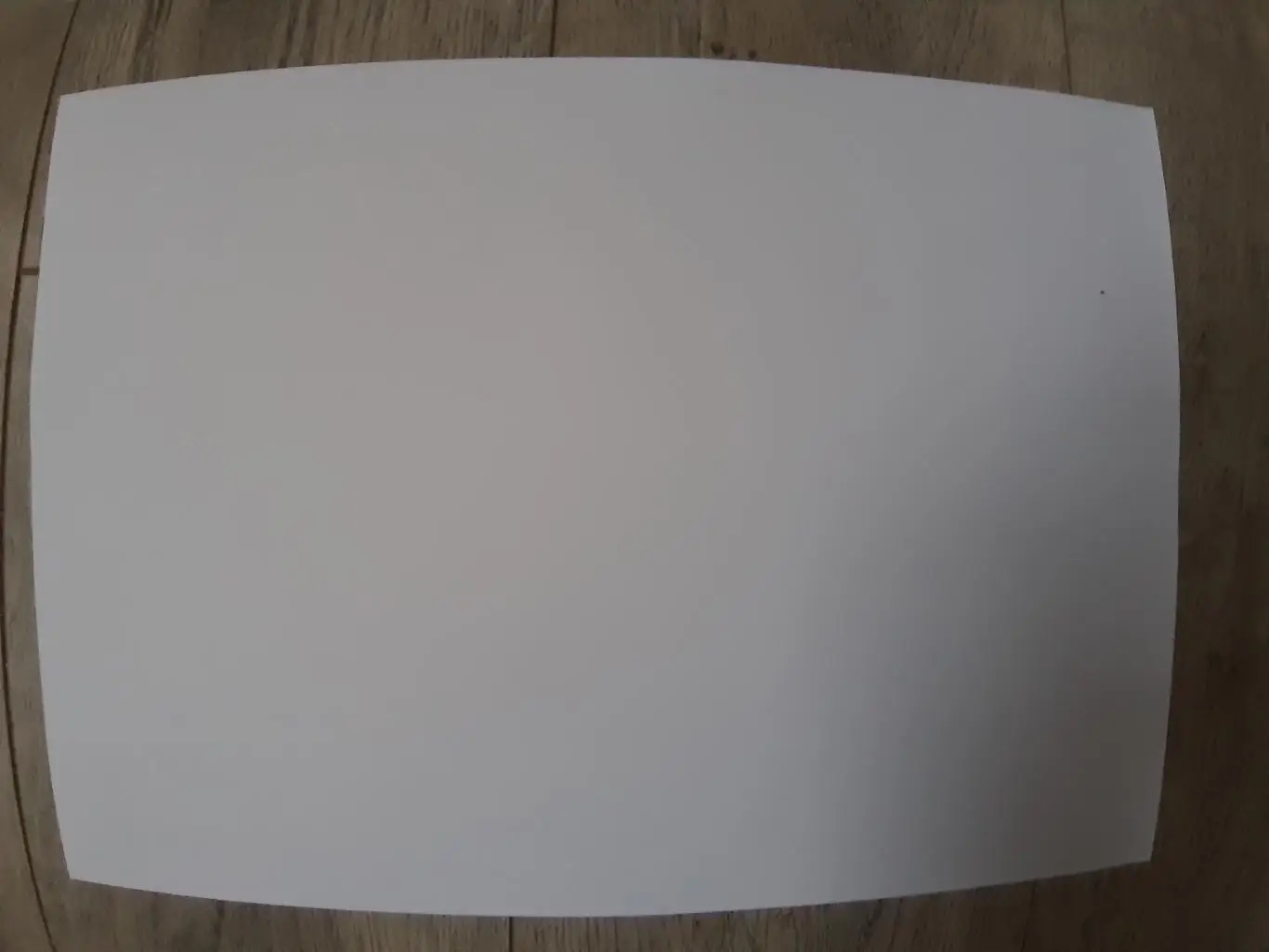 ZALGIRIS VILNIUS.2025 1