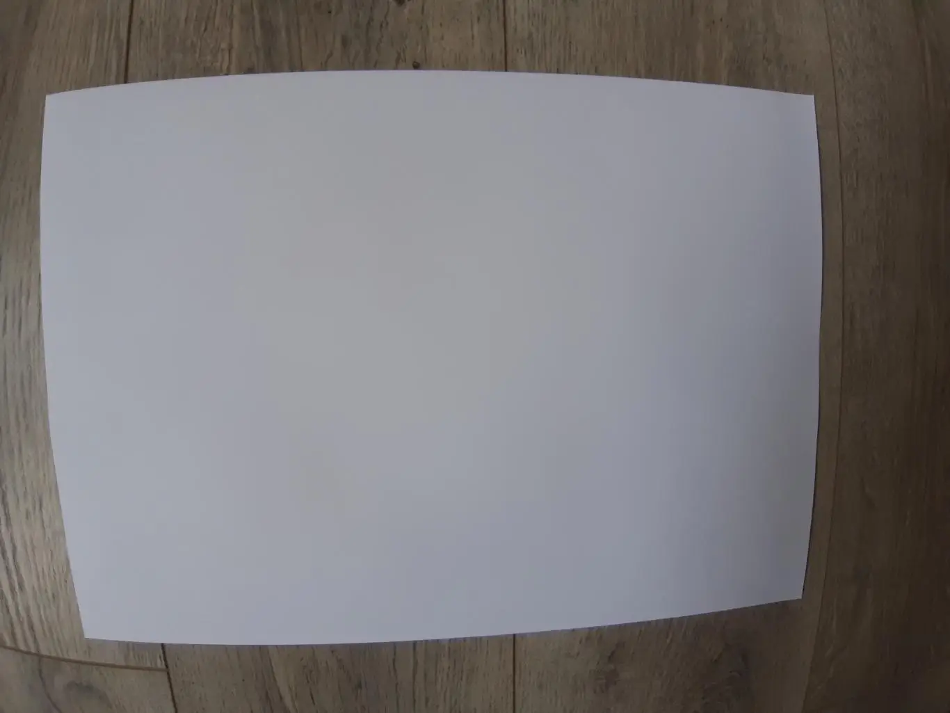 VIKTORIA PLZEN.2025 1