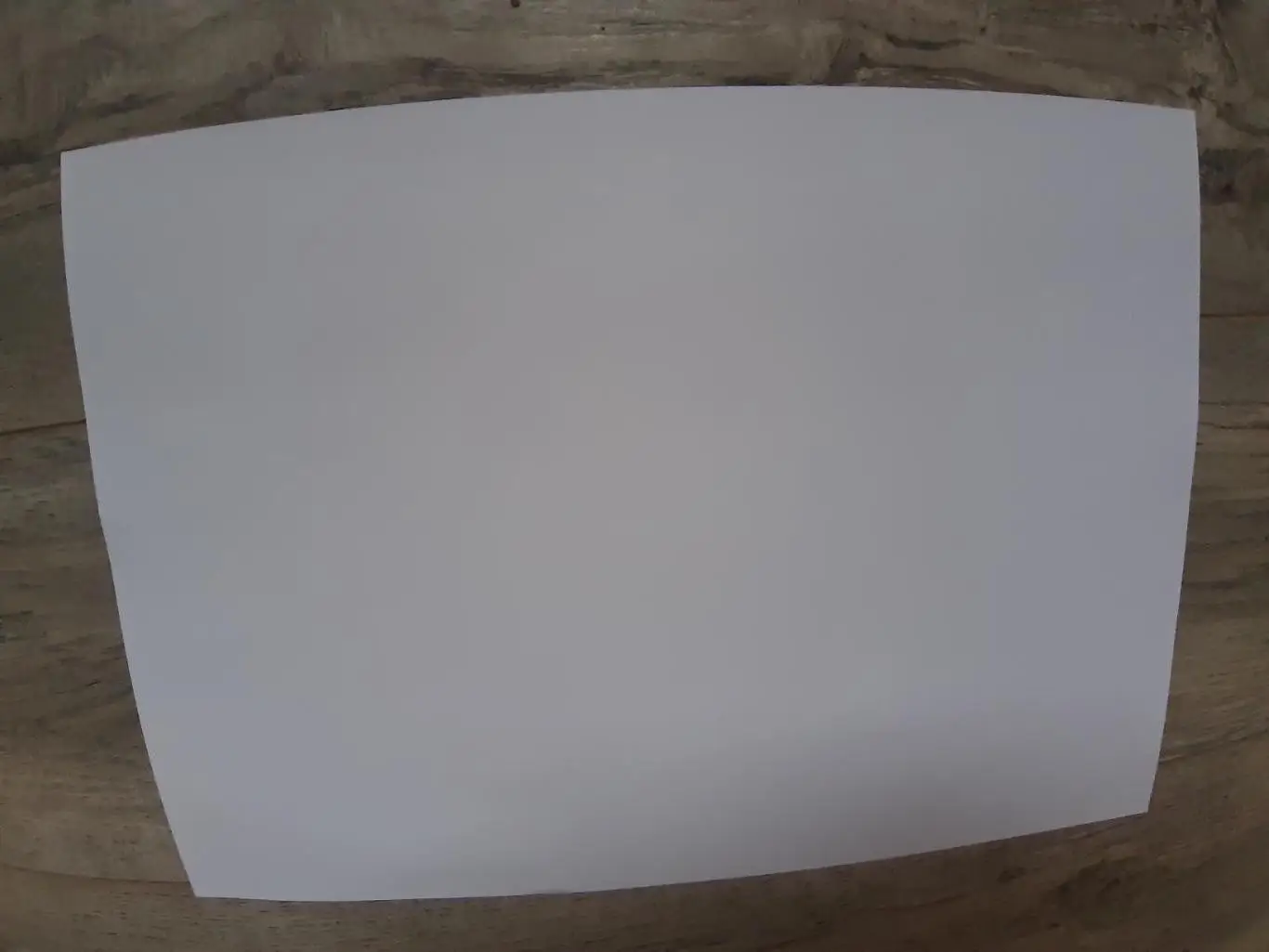 VIKINGUR REYKJAVIK 2025 1