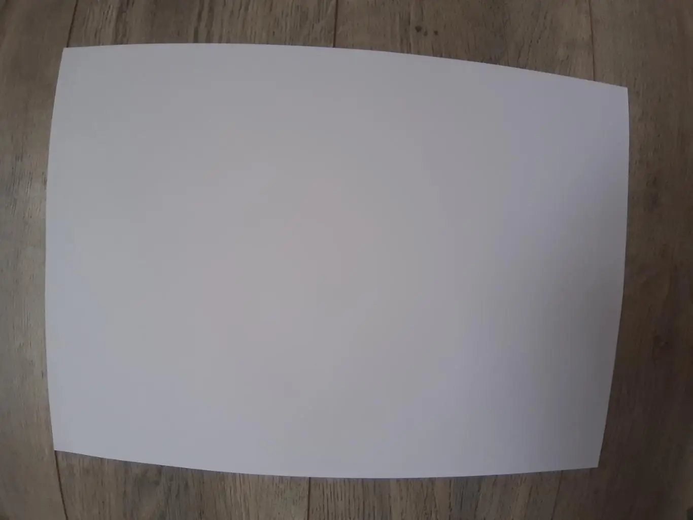 Al Masry.2023 (Egypt) 1