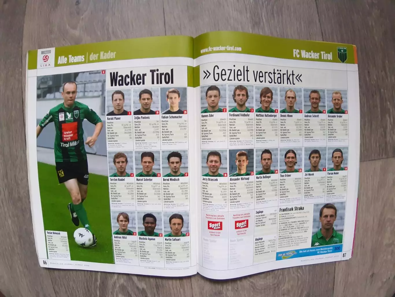 Bundesliga (Austria). 2006/07 6