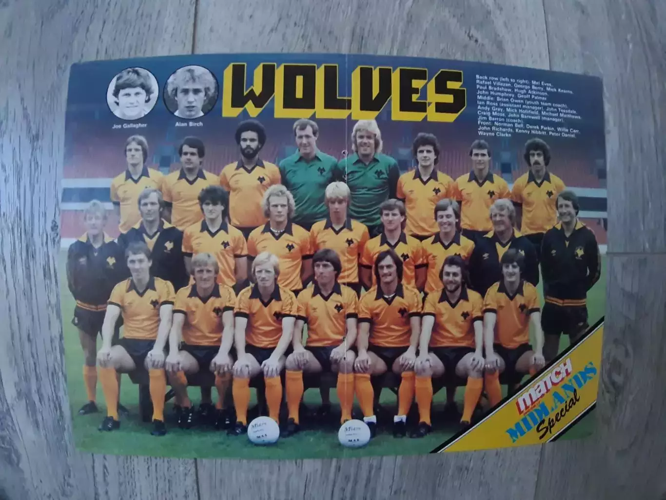WOLVERHAMPTON WANDERERS.