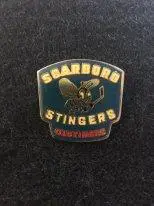 Хоккейный клуб SCARBORO STINGERS. OLDTIMERS Canada