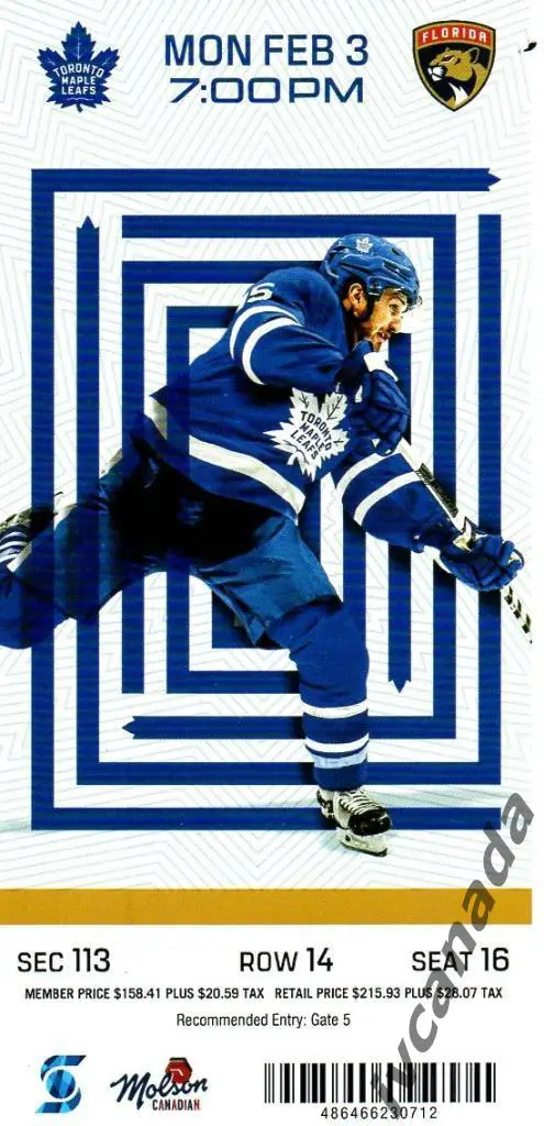НХЛ. Торонто Мейпл Ливс - Флорида Пантерс . 3 февраля 2020 Торонто, Канада 2 вид