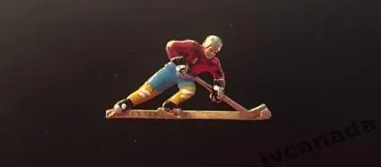 Знак (значок) Хоккей с шайбой Хоккеист