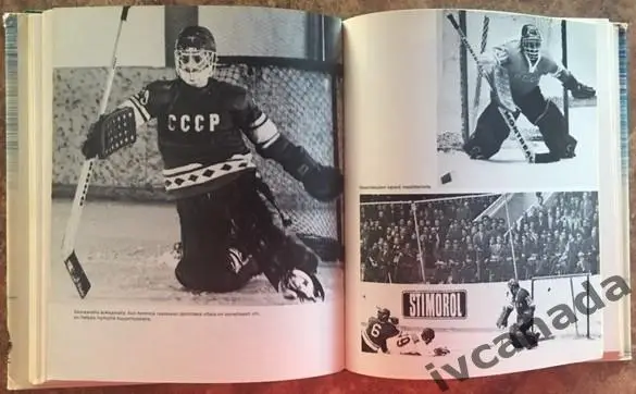 MAALISSA TRETJAK. Живопись Владислав Третьяк. На финском языке. 1977 3