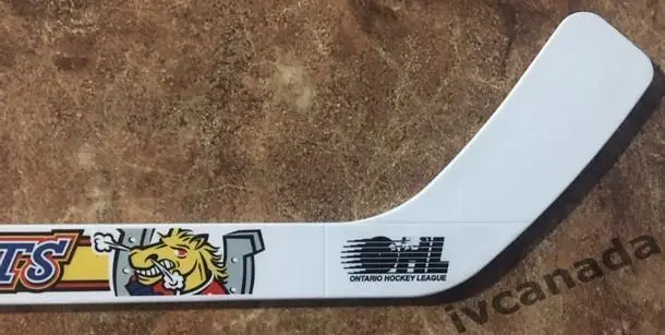Клюшка сувенирная Барри Кольтс Канада 20 лет Barrie Colts Canada OHL 1995-2015 1