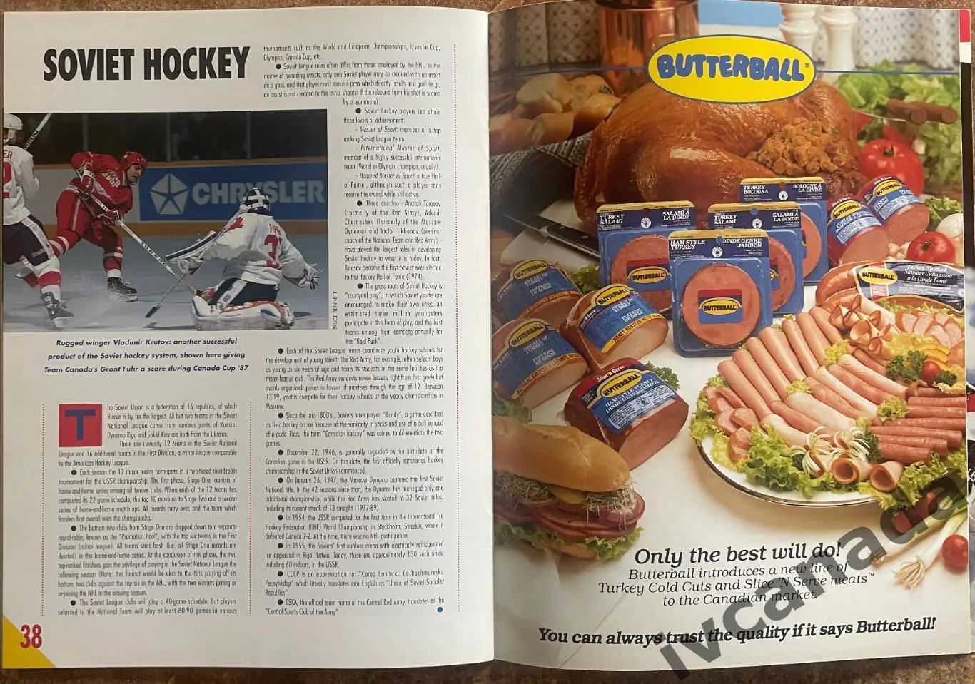 Суперсерия 1989-1990 НХЛ-СССР Торонто Мейпл Лифс - Динамо Москва 31 декабря 1989 5