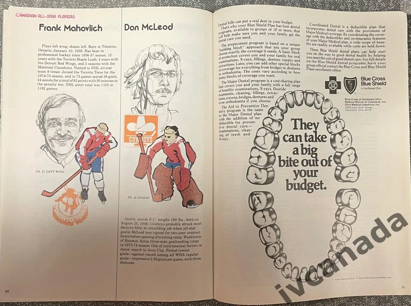 Матч всех звезд ВХА (ALL STAR GAME WHA) 13 января 1976 года. Кливленд, США. 5