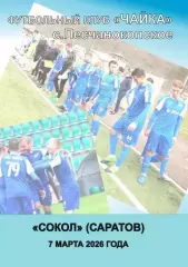 Чайка Песчанокопское - Сокол Саратов 07.03.2026 авт.