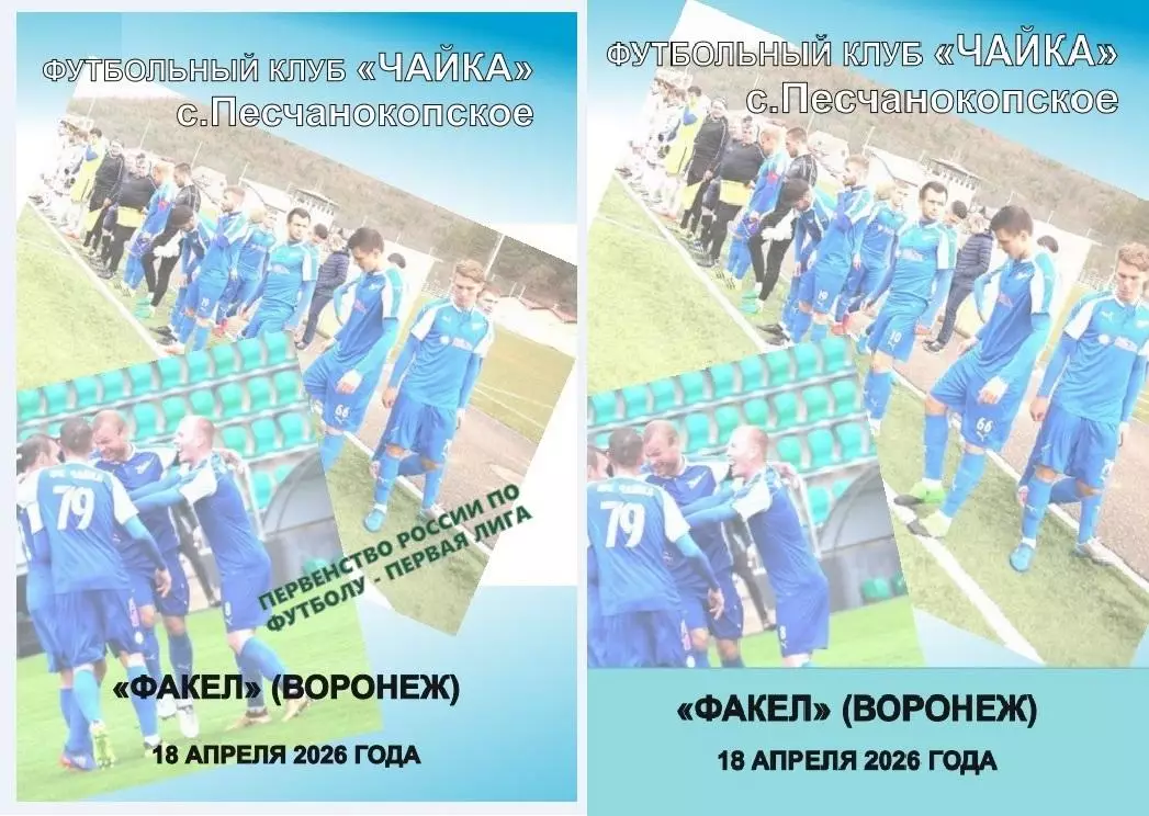 Чайка Песчанокопское - Факел Воронеж 18.04.2026 авт.