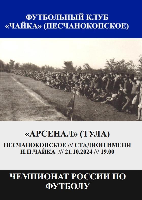 Чайка Песчанокопское - Арсенал Тула 21.10.2024 авт.